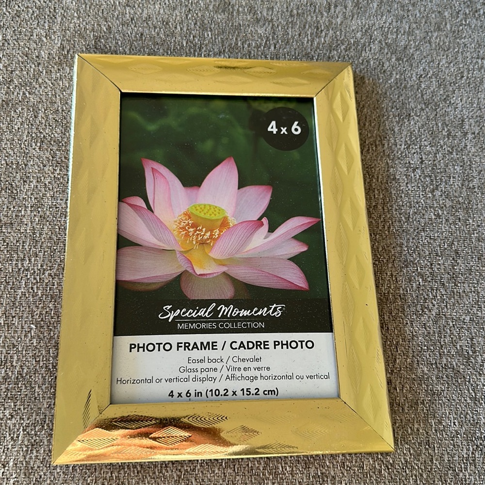Gold pix frame
